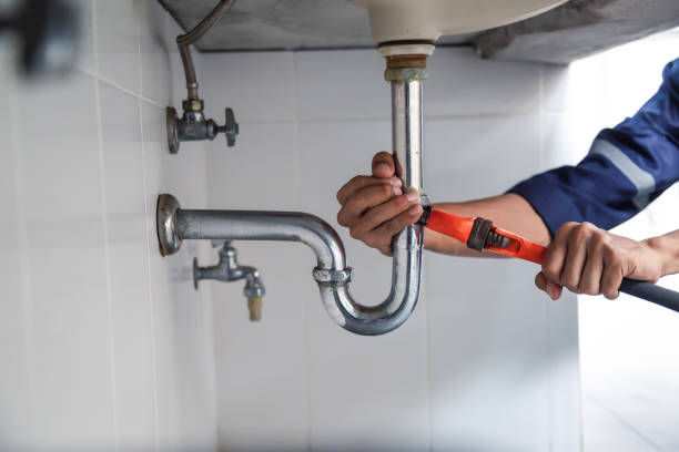 Best Clogged Drain Plumber  in Lake Shastina, CA