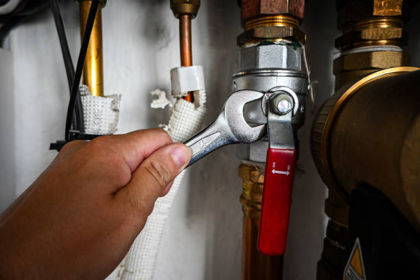 Best Plumbing Inspection Services  in Lake Shastina, CA